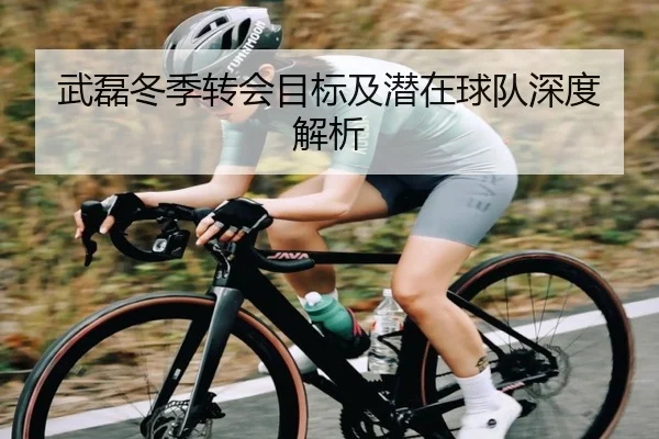 武磊冬季转会目标及潜在球队深度解析